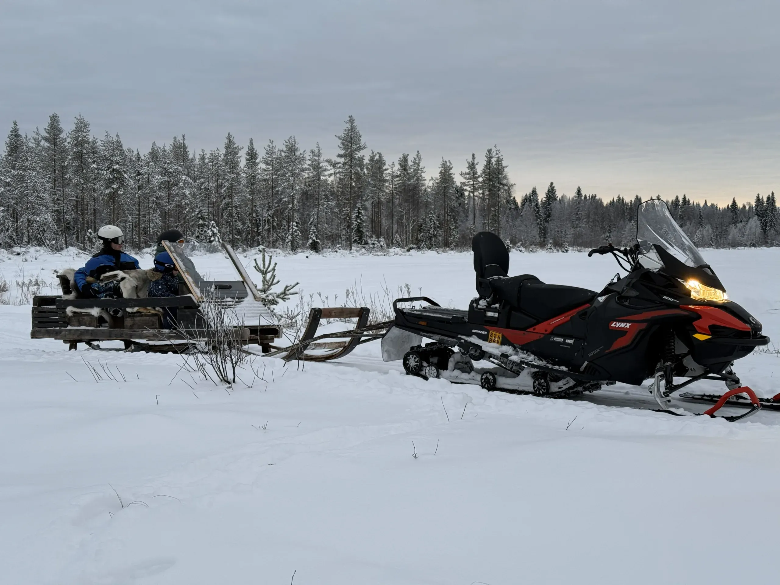 A red and black snowmobile hitched to a wooden sleigh carrying two passengers in helmets, on open snow in front of a spruce forest under a grey winter sky