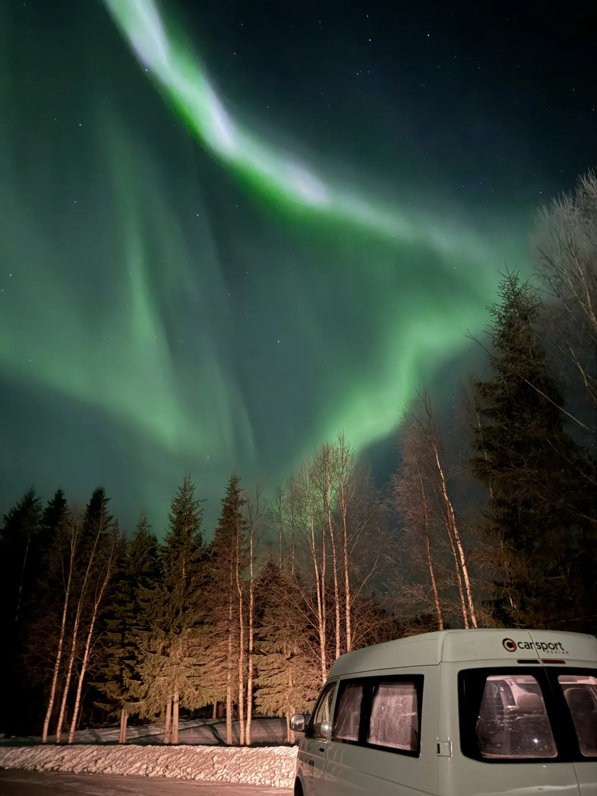 A bright green aurora sweeping across a starry sky above spruce and birch forest, the bare birch trunks lit from below