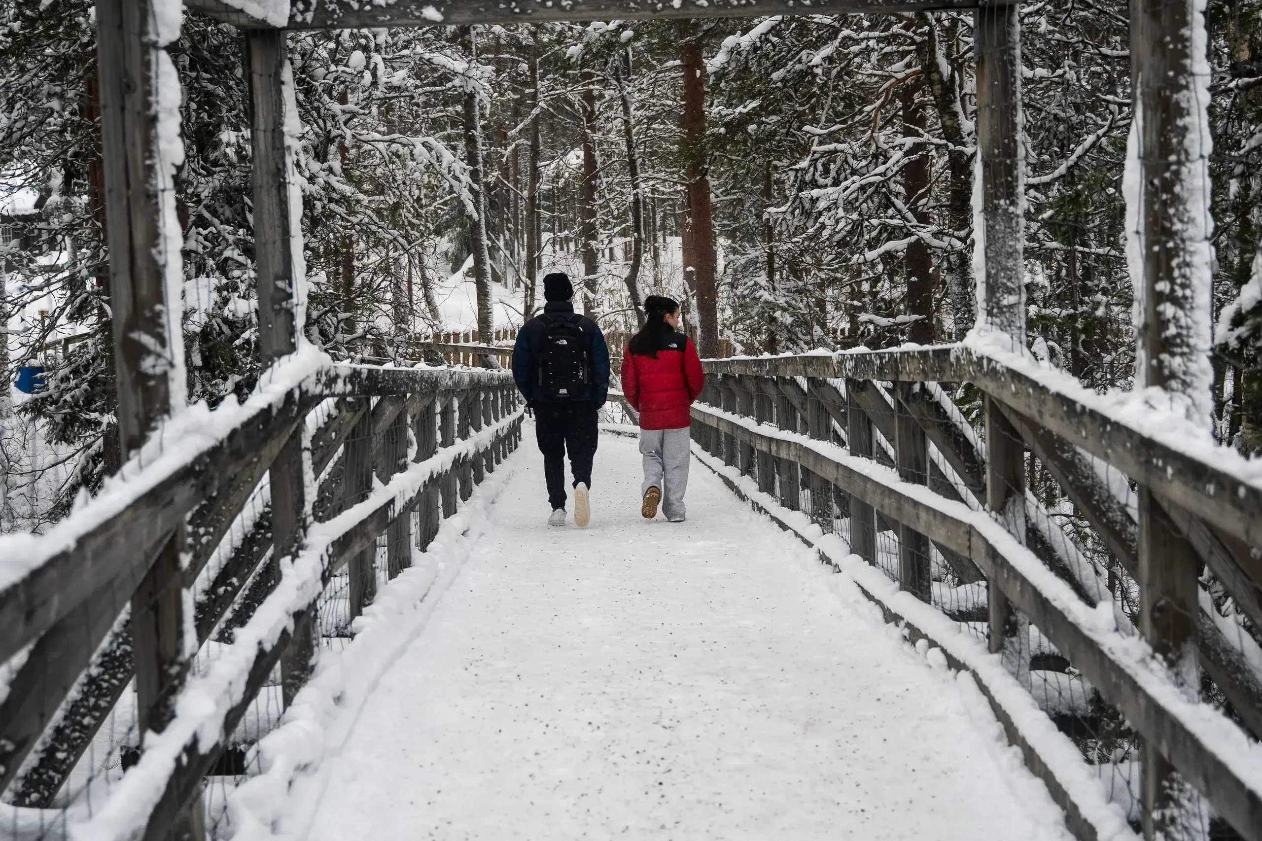 Two walkers seen from behind on a snow-covered wooden boardwalk with railings, leading away between snow-laden pines